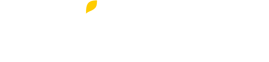 wix